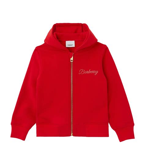 burberry kids hoodie.